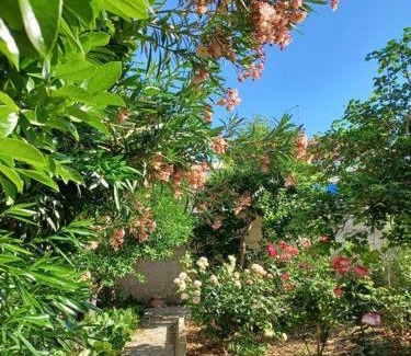 Palazzolo Acreide Historic Centre Casa | Giardino al Corso