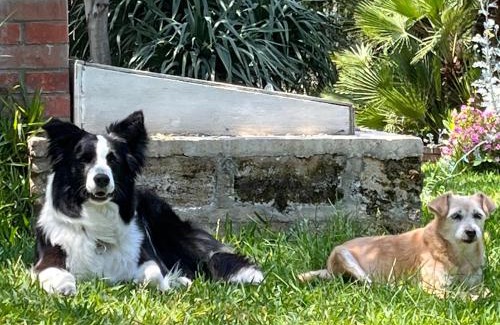 Agrigento Casa | Giardino di Circe