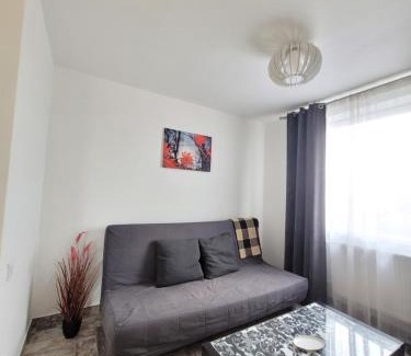 Kaunas Apartamento | Giedres Kalnieciu apartments 1