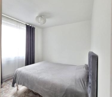 Kaunas Apartamento | Giedres Kalnieciu apartments 1
