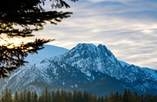 Poronin Cama Y Desayuno | Giewont