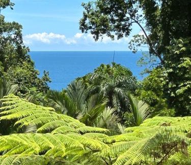 Chiguata Casa | Ginger and Cacao, Luxury Villas and Cottage with Pool and Ocean Views
