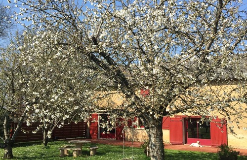 Thurageau Casa | Gîte 20 minutes from the FUTUROSCOPE, with COVERED SWIMMING POOL, SPA and SAUNA
