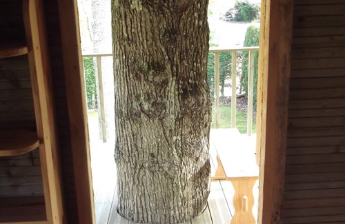 Saint-Gatien-des-Bois Cabaña | albergue 4a8 pers en las alturas de honfleur en el bosque, estacionamiento privado cerrado por la noche