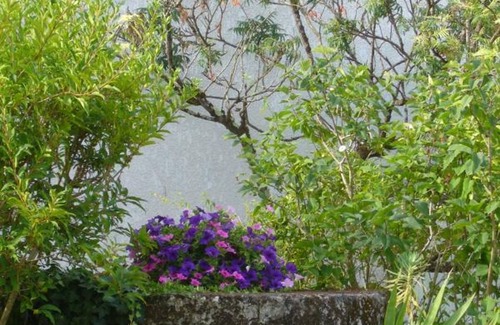 Baignes-Sainte-Radegonde Cabaña | Casa rural Baignes-Sainte-Radegonde, 4 dormitorios, 7 personas