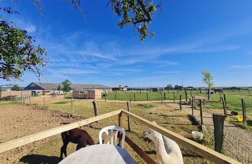 Burthecourt-aux-Chenes Cabaña | Gite Burthecourt-aux-Chênes, 1 bedroom, 4 persons