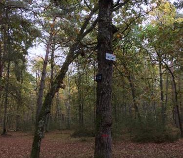 Noisy-sur-Ecole Casa | Gite cosy proche Fontainebleau et foret