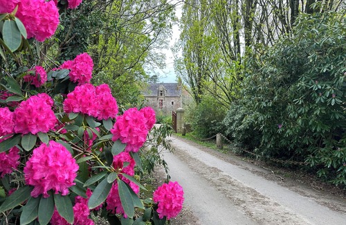 Plougonven Casa | Gite D'un Manoir du 15ème Avec Piscine Chauffée, Hammam, Jacuzzi et Grand Parc