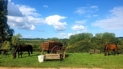 Cambremer Casa | Gite des Trévignes