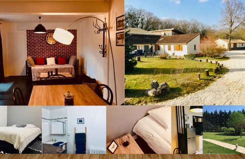 Nouan-sur-Loire Casa | Gite Ecuries Vineuil Jump