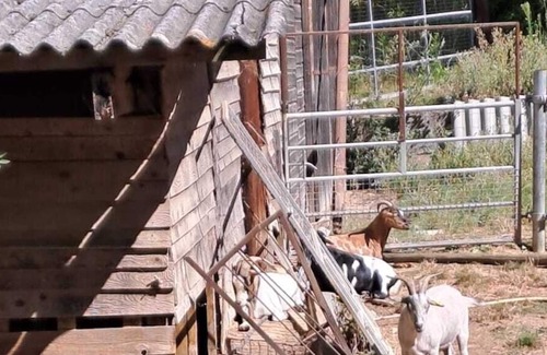 Saint-Sulpice Otro | Gîte El Camillou: Cozy Farmhouse for Groups, Families, and Friends