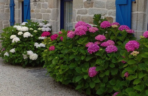 Penmarch Casa | Gite for 4 people near the beach