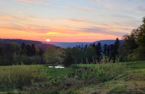 Dommartin-les-Remiremont Casa | GITE LA HOUBETTE VUE MAGNIFIQUE - Nature