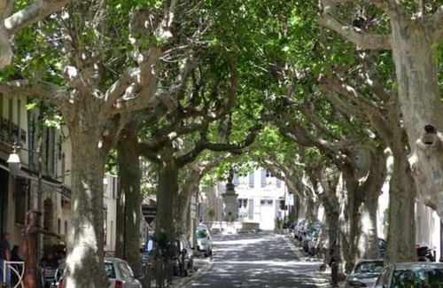 Villeneuve-Minervois Casa | Gite le Bouis - VILLENEUVE MINERVOIS - 8 personas