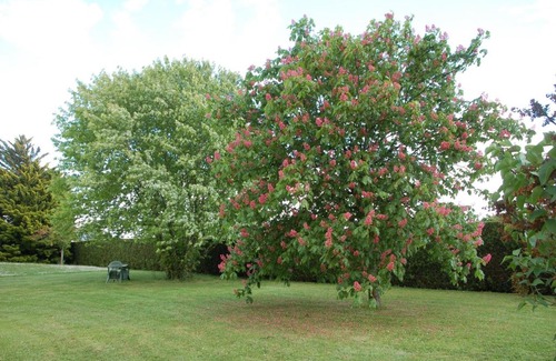 Francueil Casa | Gite Les Coquelicots