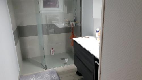 La Suze-sur-Sarthe Apartamento | GITE MAISON prox le mans circuit et zoo la fleche a 18kms