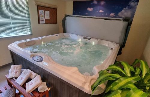 Ventron Apartamento | Gite Myrtille 2 à 6 personnes avec SPA et salle de jeux dans la Residence