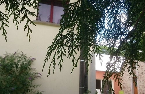 Mont-Saint-Jean Casa | ALQUILER CON PISCINA CLIMATIZADA INTERIOR, SALÓN DEPORTIVO, BORDE DE BOSQUE