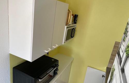 Wangenbourg-Engenthal Apartamento | Gites Les Pins et Les Bruyères