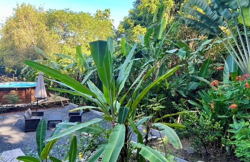 Cafeiere Cabaña | Gites Les Vanilles lush tropical garden swimming pool 800m from the beach