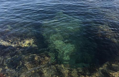 Capo Mannu Casa | Giuditta