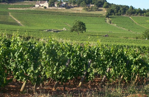 Givry Hotel | Givry Quiet casa de huéspedes en la costa Chalonnaise