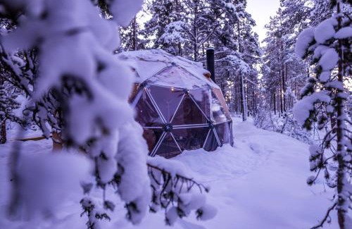 Alta Otro | GLØD Aurora Canvas Dome