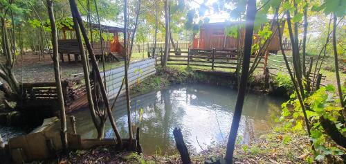 Araucania Region Casa | Gladys Lodge