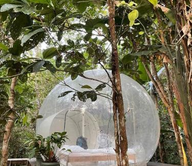 Leticia Otro | Glamping Amazonas