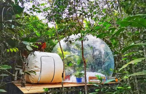 Leticia Otro | Glamping Amazonas