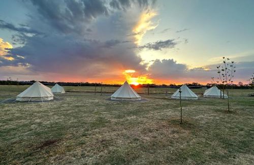 East Wangaratta Otro | Glamping at Beltie Park