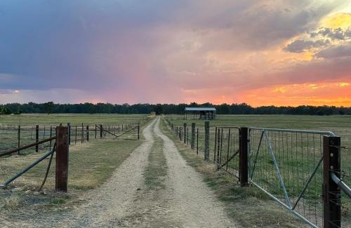 East Wangaratta Otro | Glamping at Beltie Park