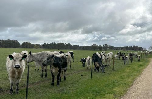 East Wangaratta Otro | Glamping at Beltie Park