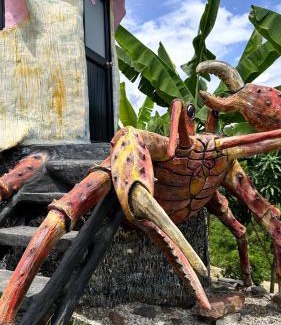 La Mesa Cabina | GLAMPING CARACOL-MUSEO DE MARAVILLAS DE LA VIDA MARINA, Basado en la vida del Mar