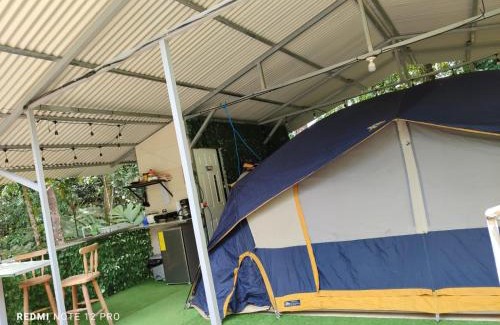Venecia Otro | Glamping Curré