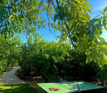 La Arboleja Otro | Glamping de Huerta La Arboleja