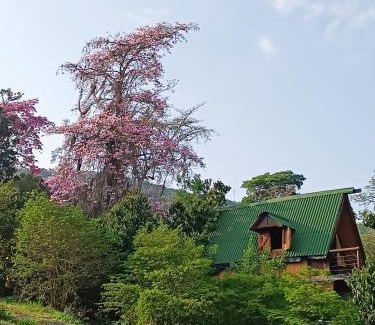 Curiti Otro | Glamping el nido
