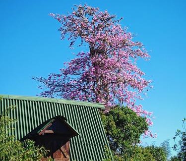 Curiti Otro | Glamping el nido