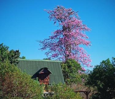 Curiti Otro | Glamping el nido