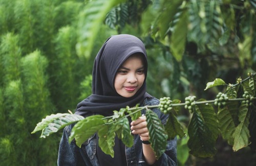 West Lampung Otro | Glamping