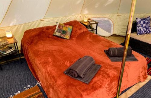 Garberville Otro | Glamping in the Redwoods