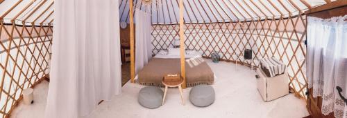 Vama Buzaului Otro | Glamping Iurte Mongole Spiritul Zimbrului