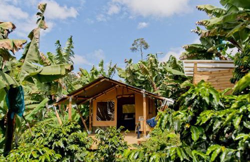 Jardin Otro | Glamping Jardín