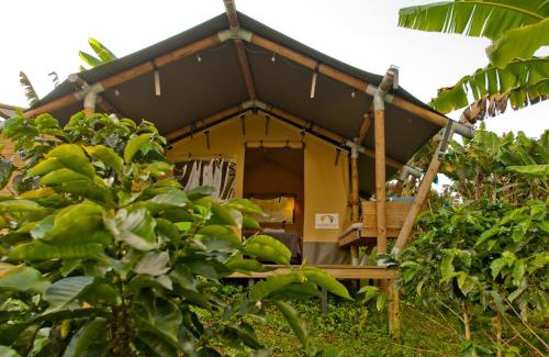 Jardin Otro | Glamping Jardín