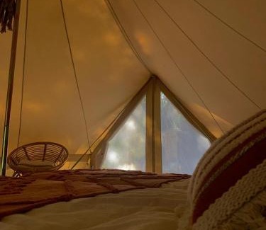 Combret Otro | Glamping Luz Olive