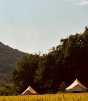 Combret Otro | Glamping Luz Olive