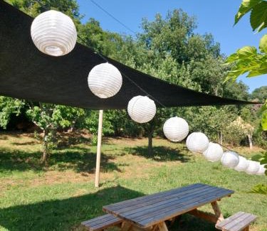 Combret Otro | Glamping Luz Olive