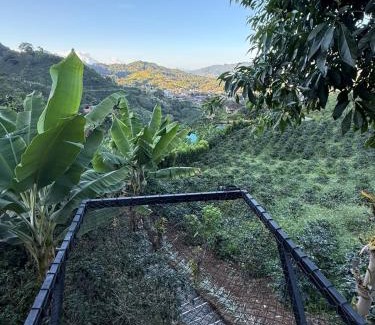 Andes Cabina | Glamping Mountain Coffee