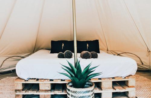 Rutten Otro | Glamping op boutique camping Whanau