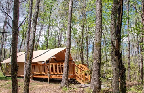 Coalmont Apartamento | Glamping Tent with Covered Deck